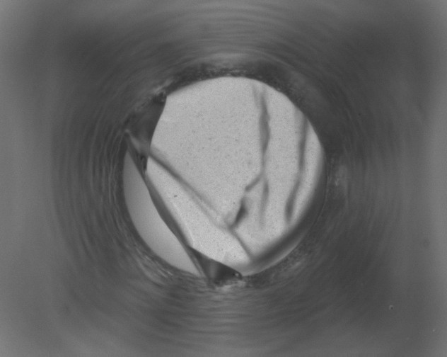 X0000080740868200701121934