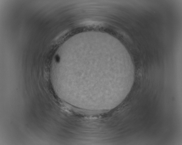 X0000080740869200701121934