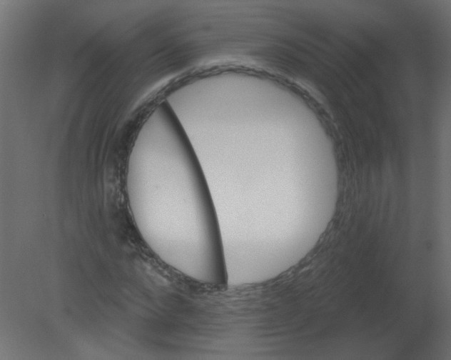 X0000080740872200701121934