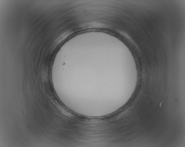 X0000080740873200701121934