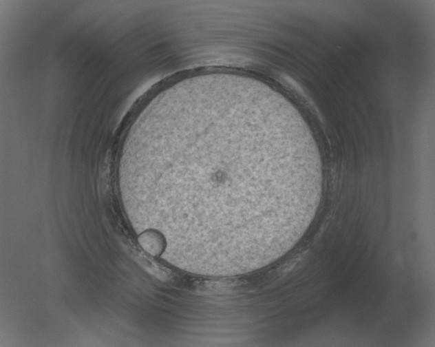 X0000080740875200701121934