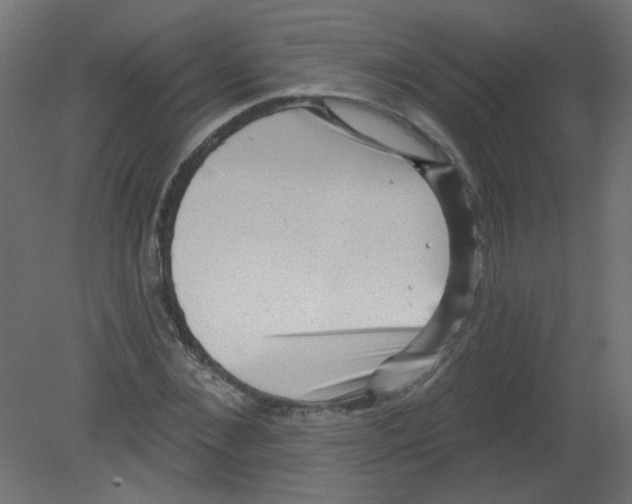 X0000080740876200701121934