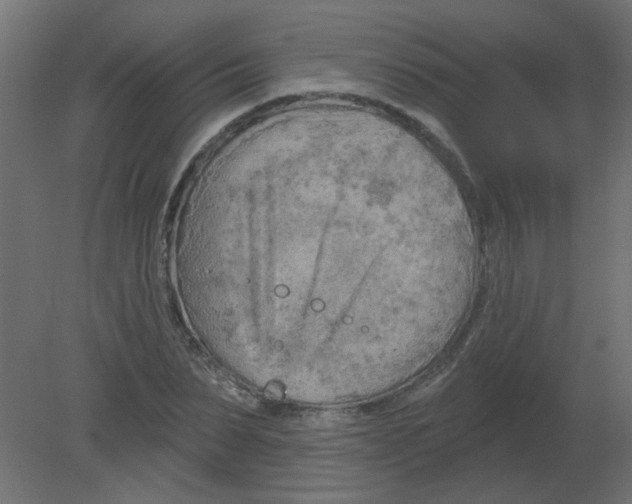 X0000080740879200701121934