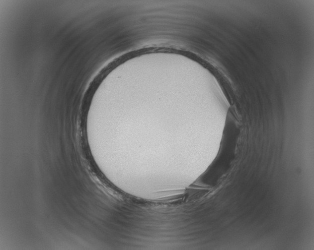 X0000080740880200701121934