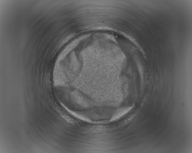 X0000080740881200701121934