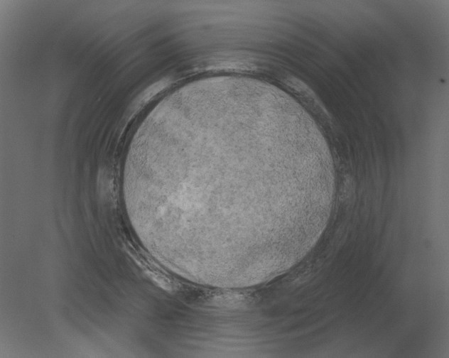 X0000080740882200701121934