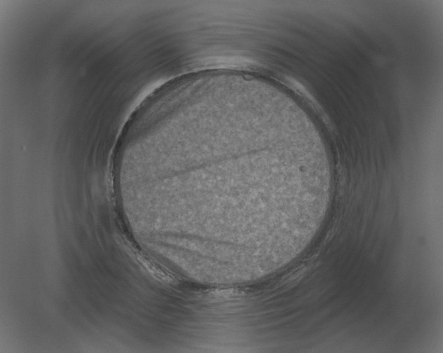 X0000080740883200701121934