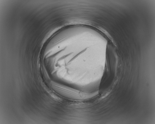 X0000080740885200701121934