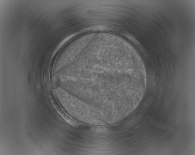 X0000080740886200701121934