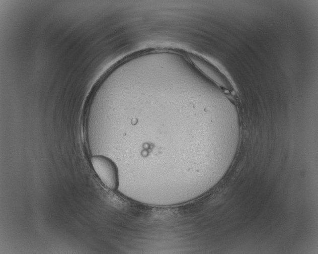 X0000080740887200701121934