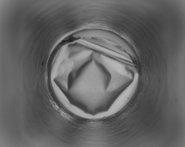 X0000080740888200701121934