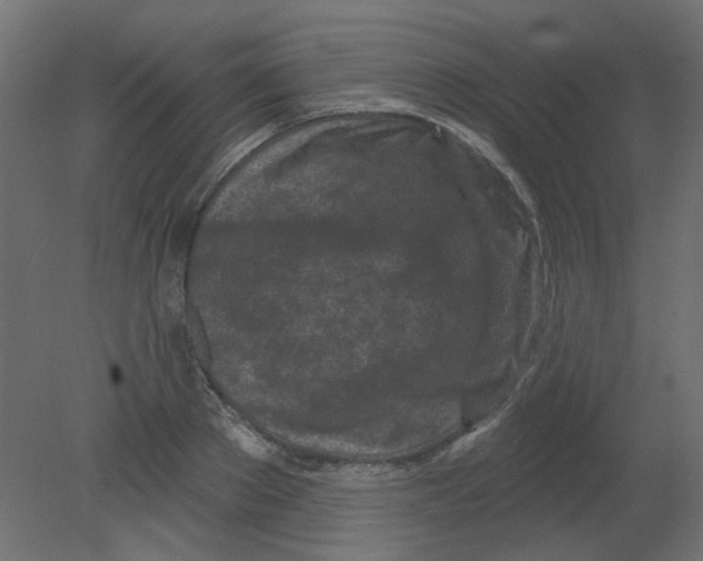 X0000080740889200701121934