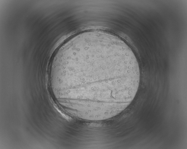 X0000080740890200701121934