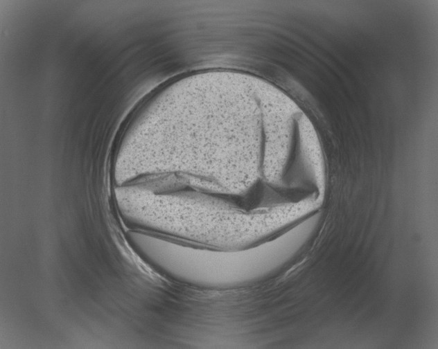 X0000080740892200701121934