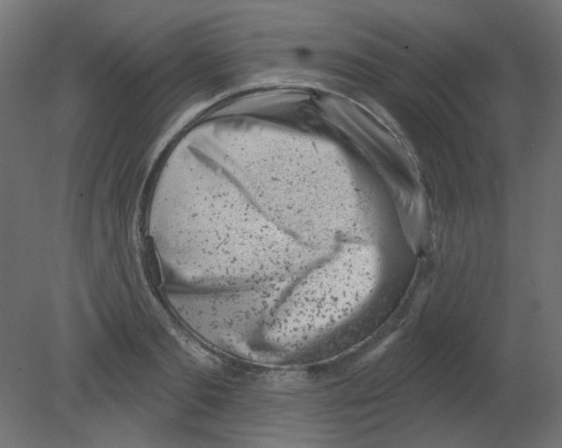 X0000080740893200701121934