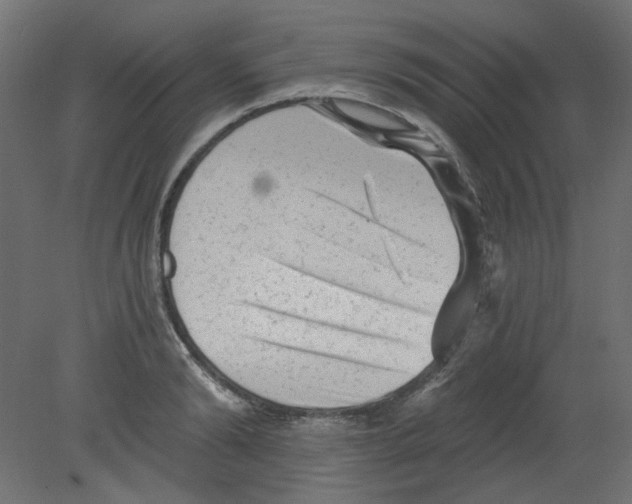 X0000080740894200701121934