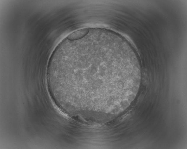 X0000080740895200701121934