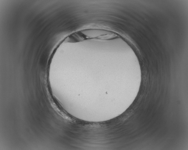 X0000080740896200701121933