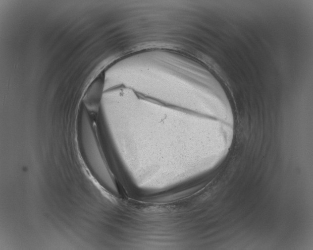 X0000080740898200701121933