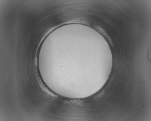 X0000080740900200701121933