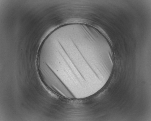 X0000080740901200701121933