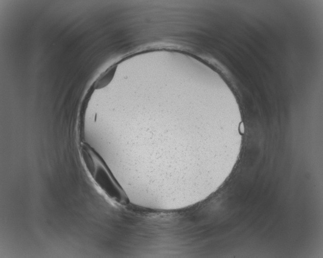 X0000080740902200701121933