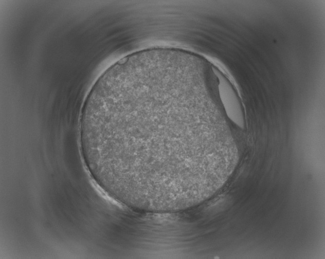 X0000080740903200701121933