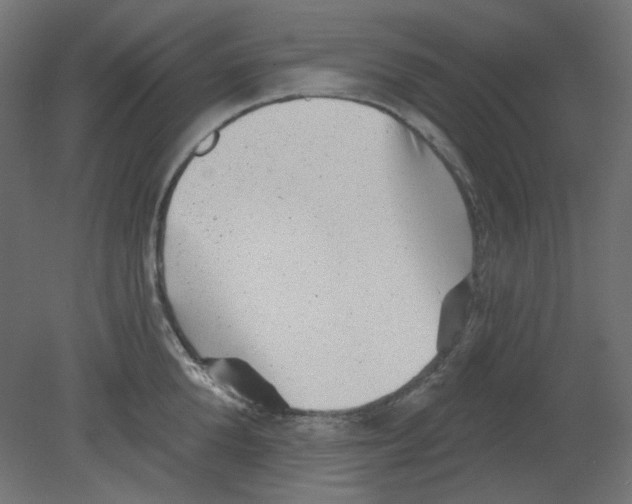 X0000080740904200701121933