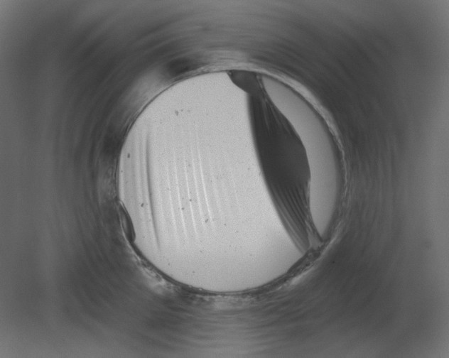 X0000080740905200701121933