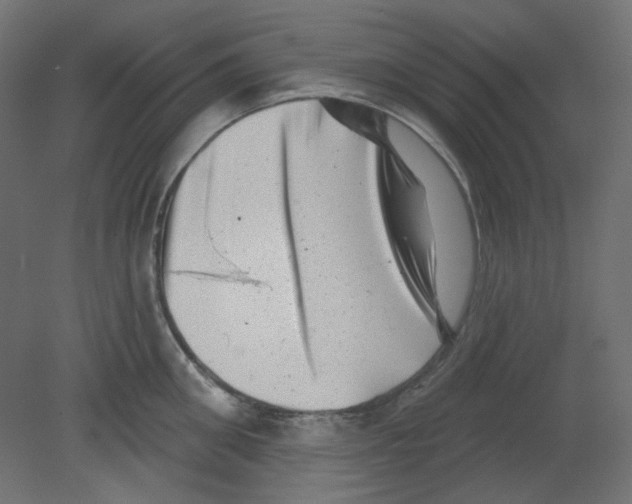 X0000080740906200701121933