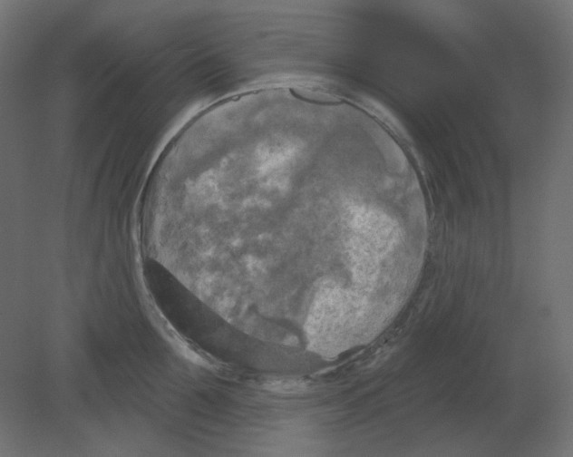 X0000080740907200701121933