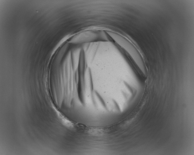 X0000080740909200701121933