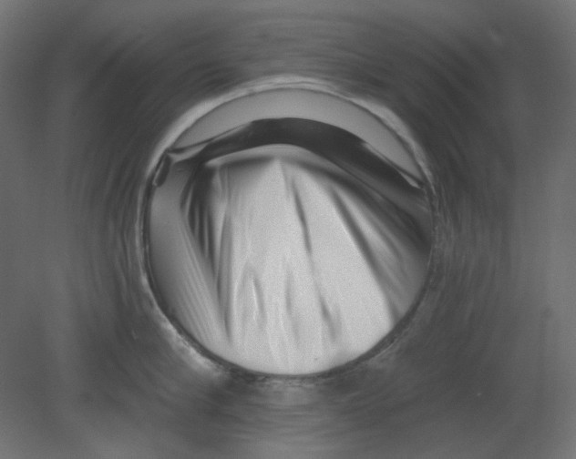 X0000080740910200701121933