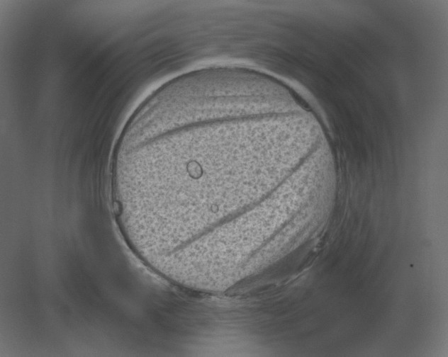 X0000080740911200701121933