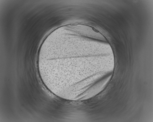 X0000080740912200701121933