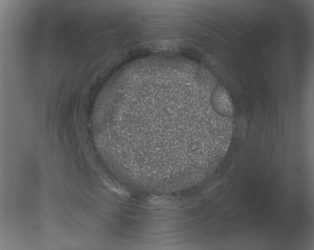 X0000080740913200701121932