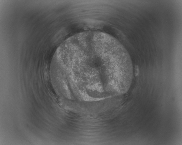 X0000080740915200701121932