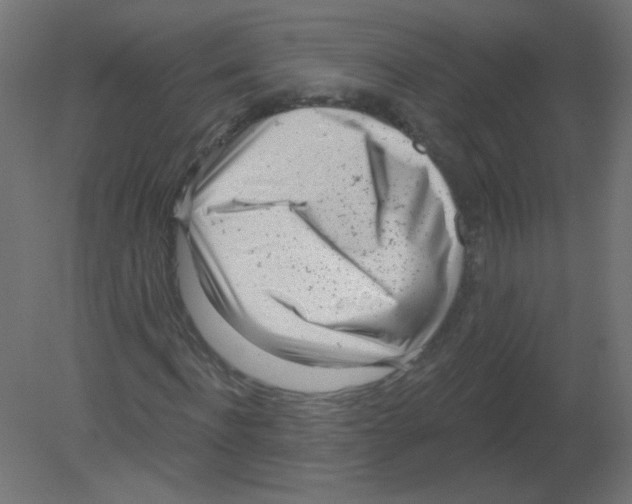 X0000080740916200701121932