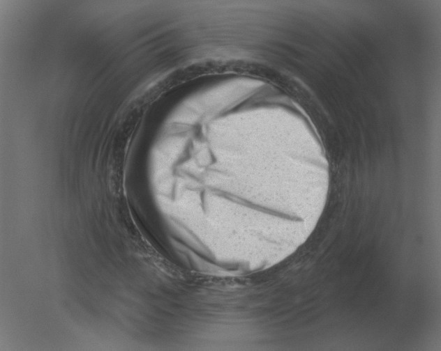 X0000080740919200701121933