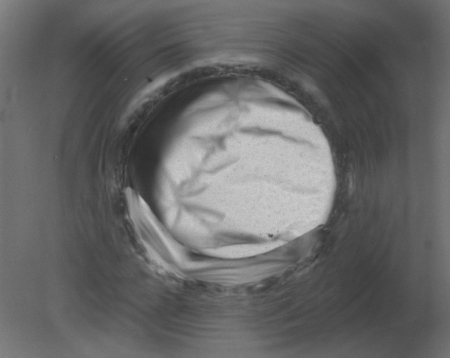 X0000080740920200701121933