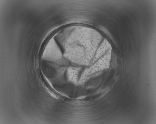 X0000080740924200701121933