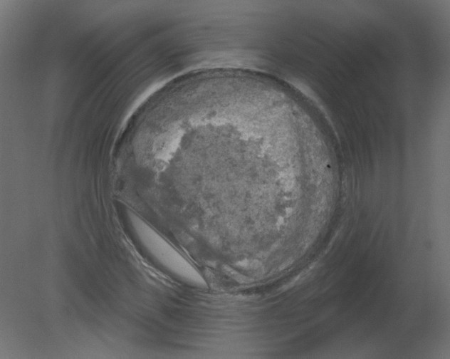 X0000080740925200701121933