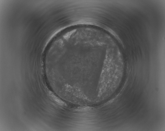 X0000080740926200701121933