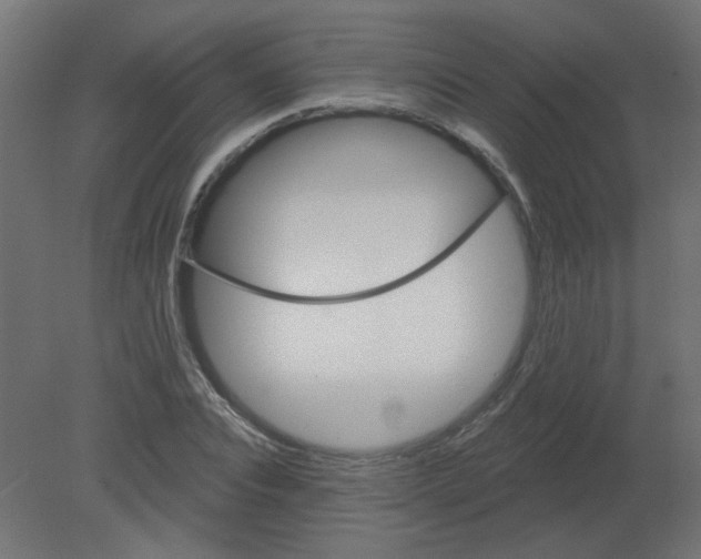 X0000080740928200701121933