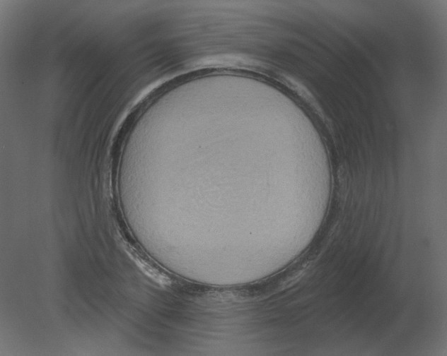 X0000080740931200701121933