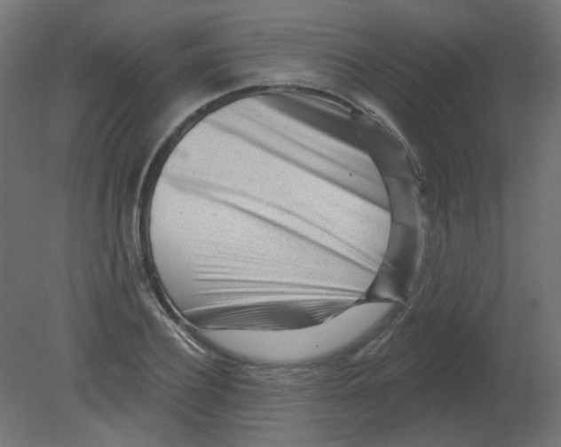 X0000080740932200701121933