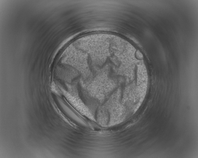 X0000080740933200701121933