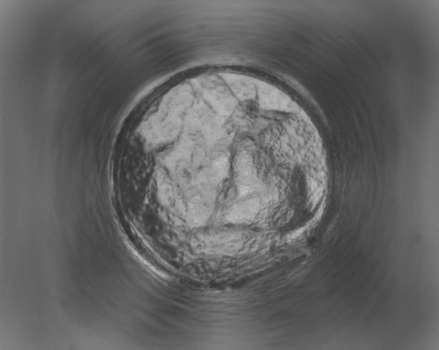 X0000080740935200701121933