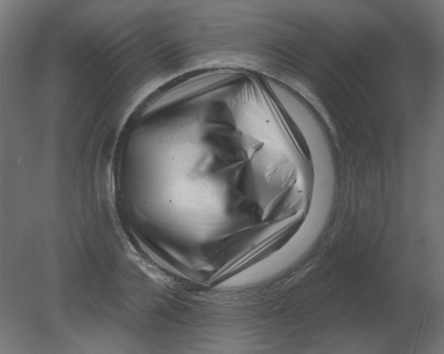 X0000080740936200701121933