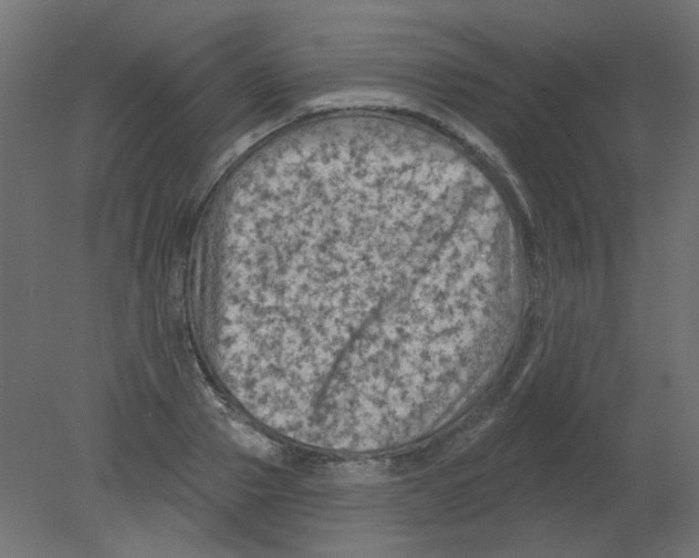 X0000080740937200701121933